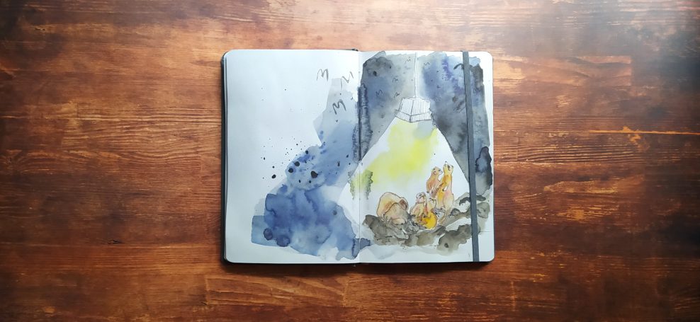 Illustration mit Wachspastellen: 5 Erdmännchen liegen und stehen unter dem Licht eines Scheinwerfers